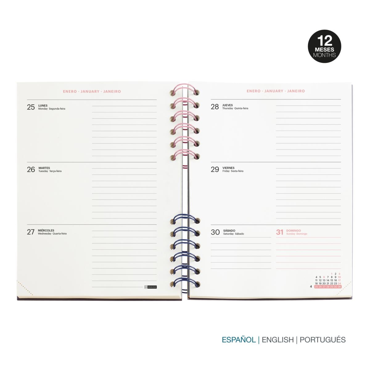 Agenda Escolar Plus Wire-O Semana Vista Verde Back To Basics 2026-27 Miquelrius Verde-2