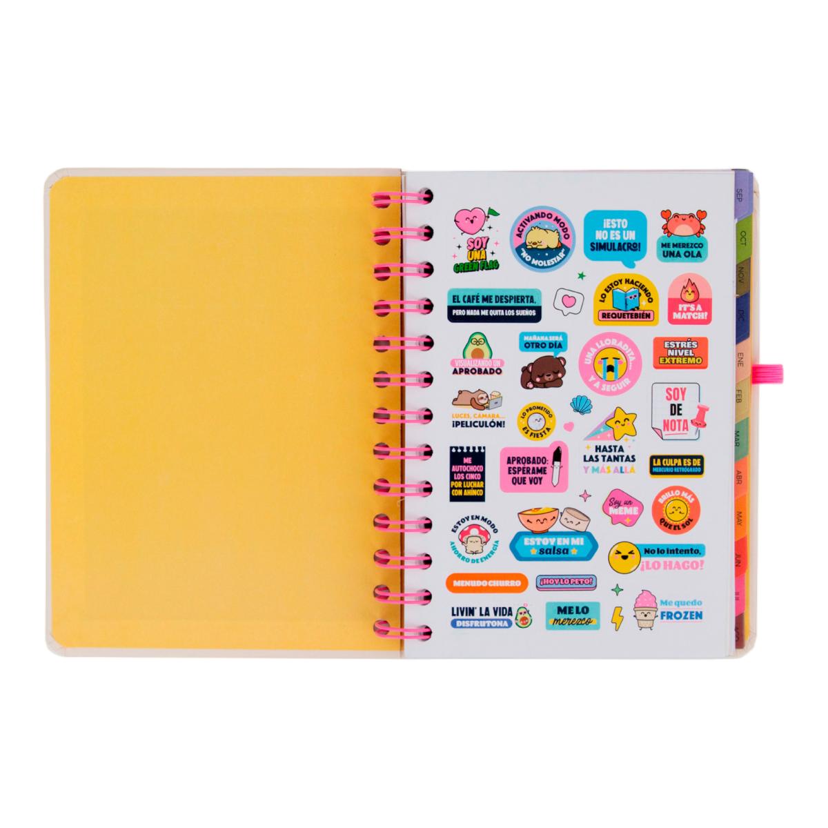 Set Agenda Escolar Mr. Wonderful 2026 2027 con 3 Bo-Bo's, pequeña, vista semanal. Ready 6