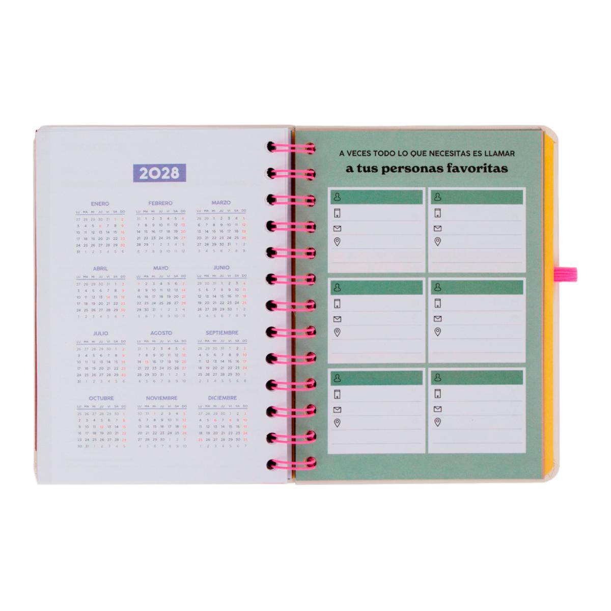 Set Agenda Escolar Mr. Wonderful 2026 2027 con 3 Bo-Bo's, pequeña, vista semanal. Ready 10