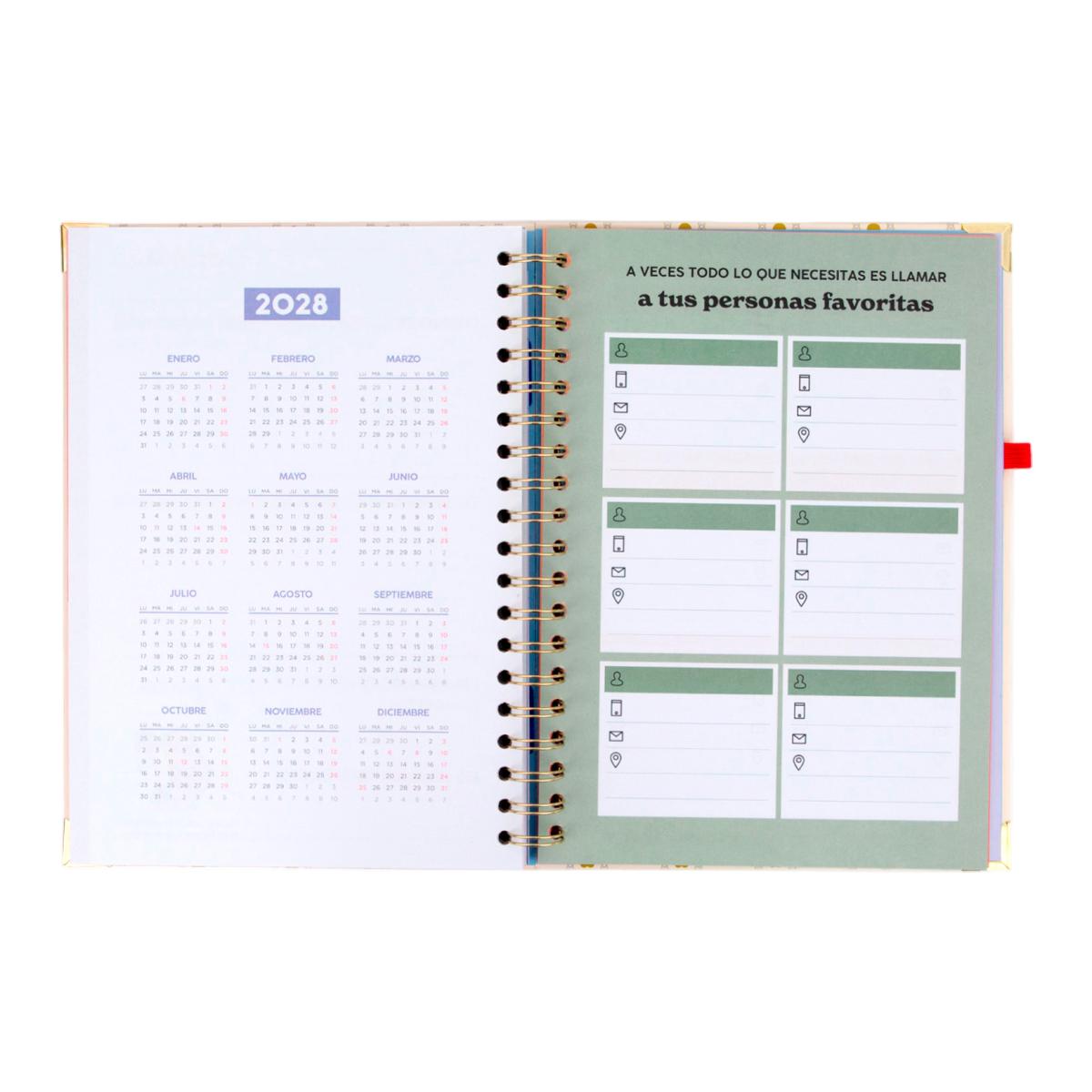 Agenda Escolar Mr. Wonderful 2026 2027, Extragrande, vista semanal .Haz que cada día cuente 9