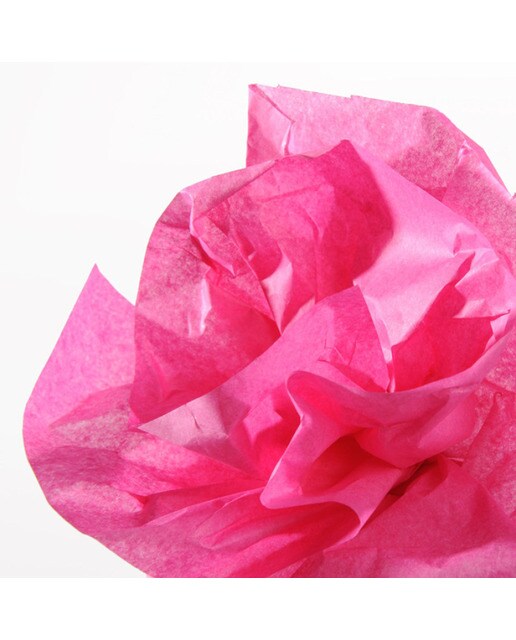 Imagen 0 de Rollo de 50x500 cm, Seda, 20g, Canson Fucsia
