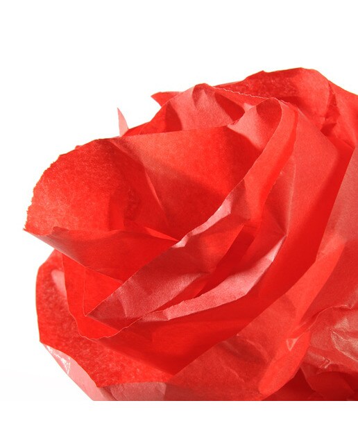 Rolo de 50 x 500 cm, Seda, 20 g, Canson Vermelho 1