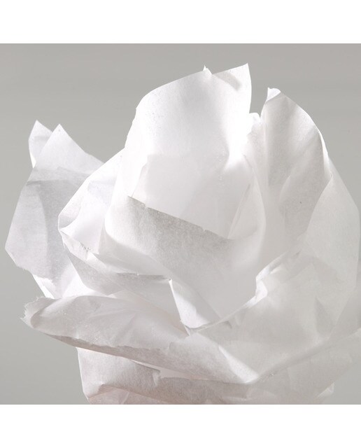 Rolo de 50 x 500 cm, Seda, 20 g, Canson Branco 1