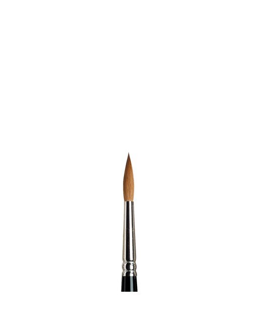 Pincel de Acuarela Winsor & Newton Series 7, Pincel de Pelo de Marta Kolinsky, tamaño 6