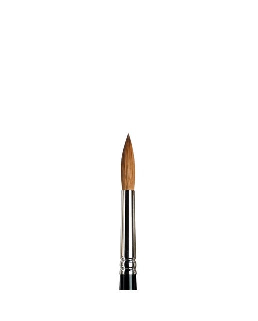 Pincel de Aguarela Winsor & Newton Series 7, Pincel de Pêlo de Marta Kolinsky, tamanho 8 1