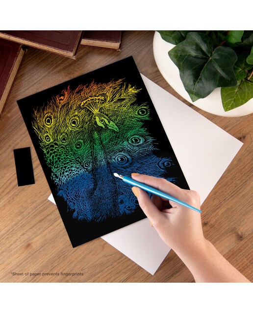 Lámina grabado Engraving Art Arcoiris dibujo Peacock Royal & Langnickel 3