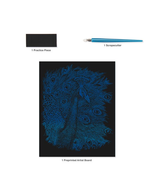 Lámina grabado Engraving Art Arcoiris dibujo Peacock Royal & Langnickel 5