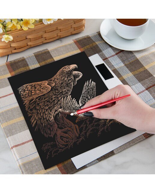 Lámina grabado Engraving Art Cobre dibujo Halcones Royal & Langnickel Cobre-3