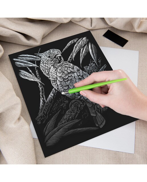 Lámina grabado Engraving Art plata dibujo Cacatúa Royal & Langnickel Plata-3