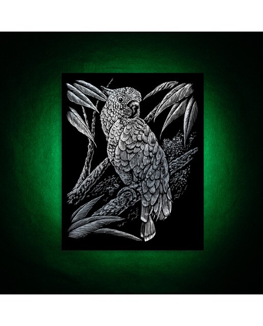 Lámina grabado Engraving Art plata dibujo Cacatúa Royal & Langnickel Plata-4