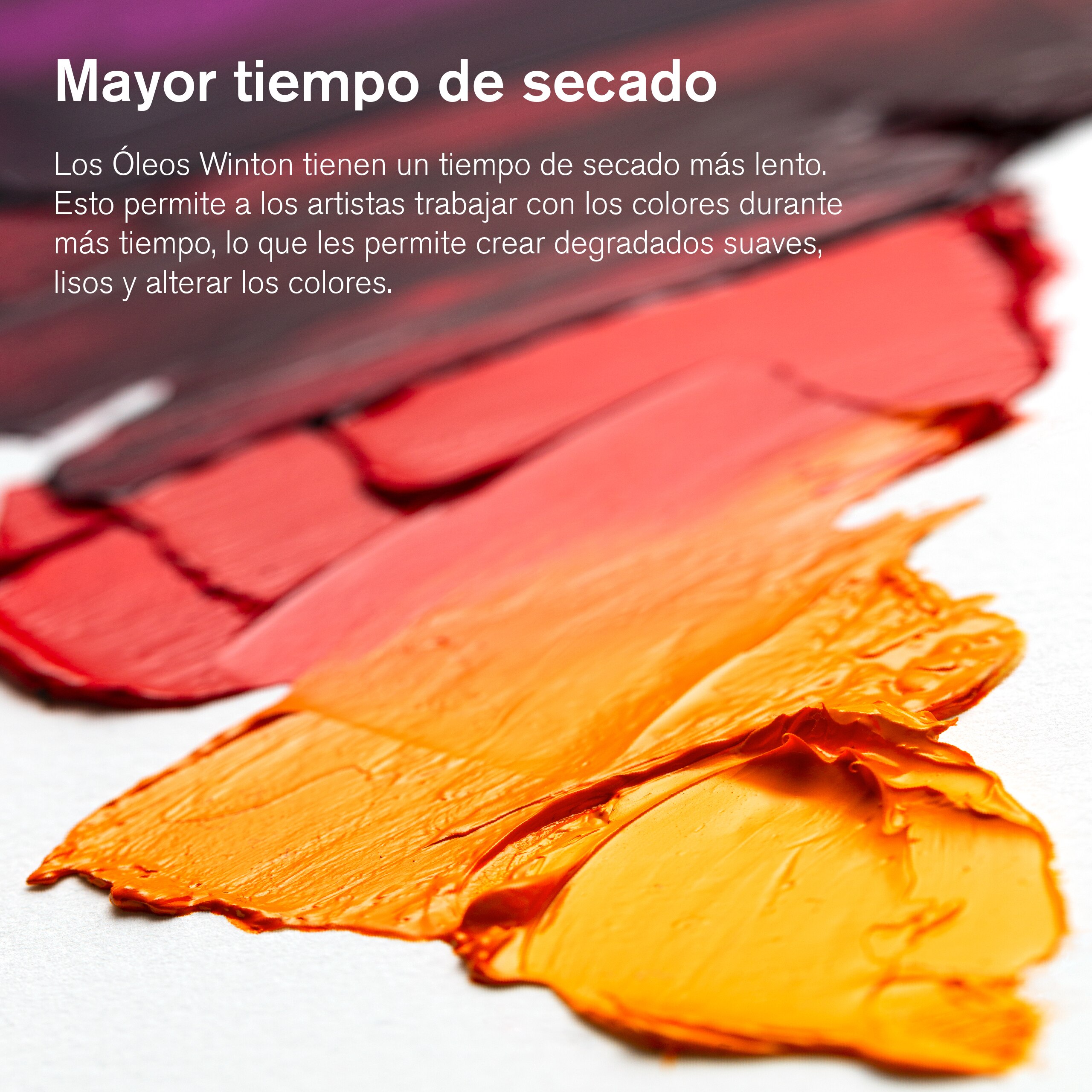 Tinta Óleo Winton 37 ml Castanho Vandyke 676 6