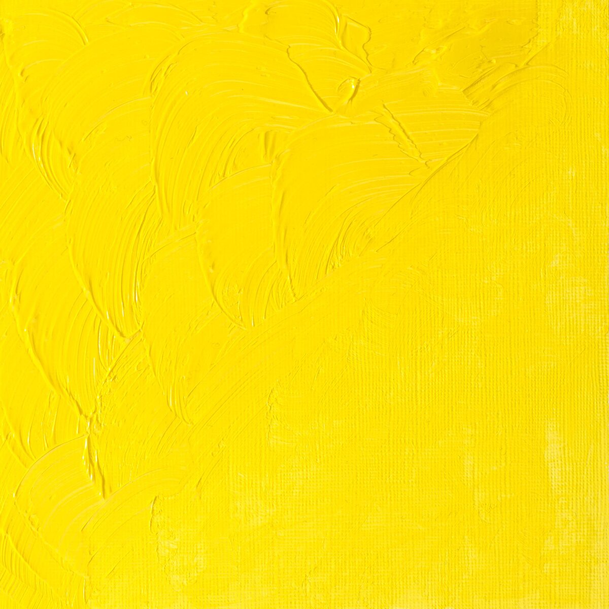 Tubo de Tinta a Óleo Winton Winsor & Newton 200 ml *Amarelo de Cádmio Limão 3