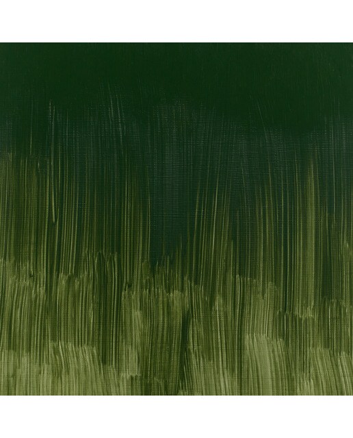 Tubo Óleo Winton 37 ml verde cinzento escuro Verde / Cinzento-3