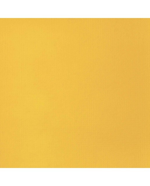 Liquitex Acrílico Basics Amarelo de Cadmio Oscuro 118ml 2