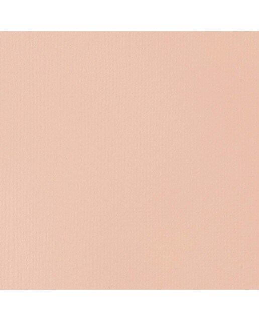 Liquitex Acrílico Basics Rosa Claro 118ml 2