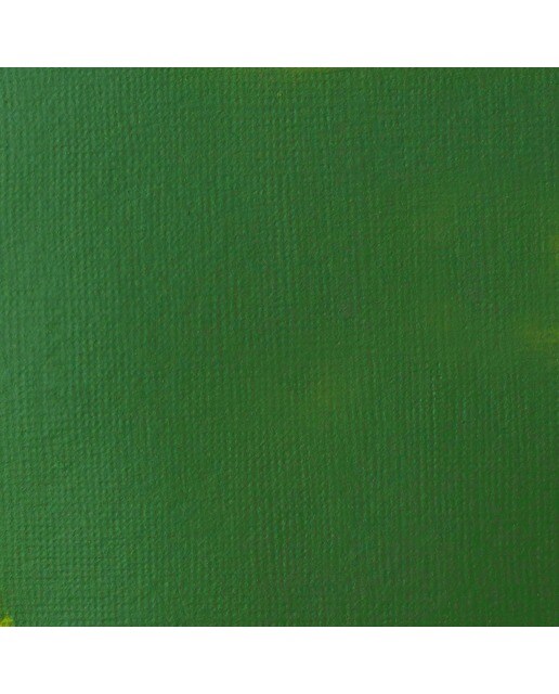 Liquitex Acrílico Basics Tom Verde de Hooker Permanente 118ml 2