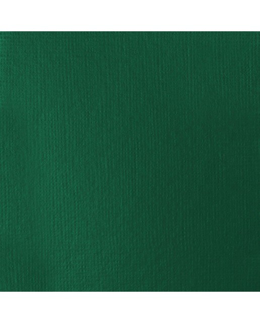 Liquitex Acrílico Basics  Verde Permanente Escuro 118ml 2