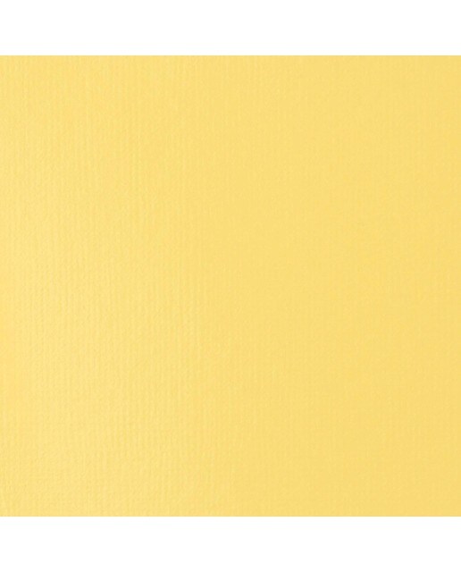 Liquitex Acrílico Basics  Tom Amarelo de Nápoles 118ml 2