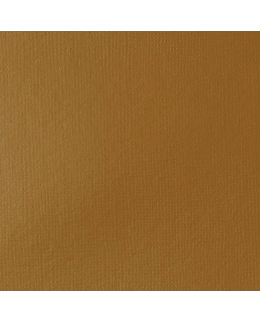 Liquitex Acrílico Basics  Terra de Sena Natural 118ml 2