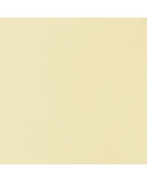 Liquitex Acrílico Basics  Pergamino 118ml 2