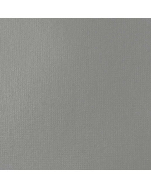 Liquitex Acrílico Basics Cinza Neutro 5 118ml 2