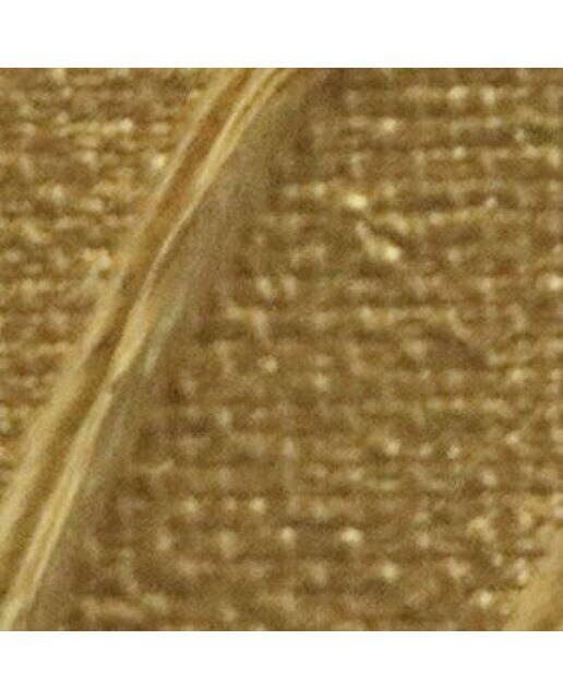 Acrílico mate 60ml origin oro Oro-2