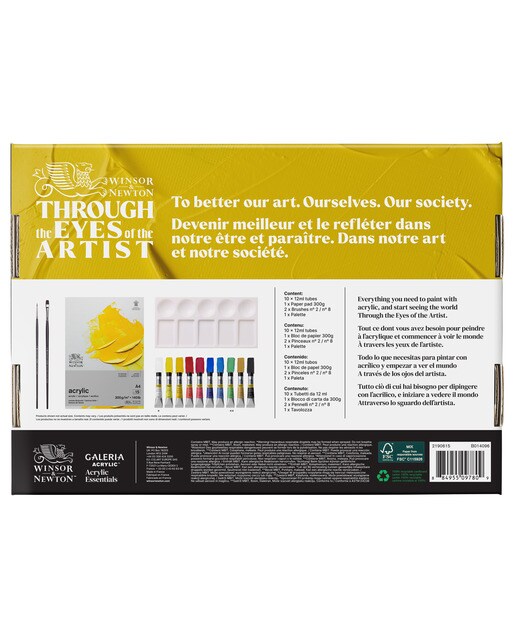 Conjunto de iniciação de acrílicos Winsor&Newton Gallery 3