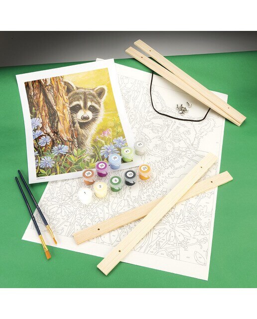 Pintura por números PBN-ROLL6 com tela suspensa, tintas e pincéis, desenho de Guaxinim admirador secreto da Royal Langnickel 4