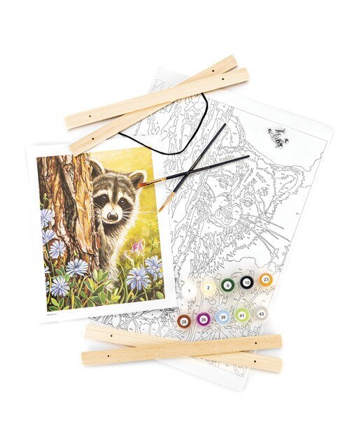 Pintura por números PBN-ROLL6 com tela suspensa, tintas e pincéis, desenho de Guaxinim admirador secreto da Royal Langnickel 5