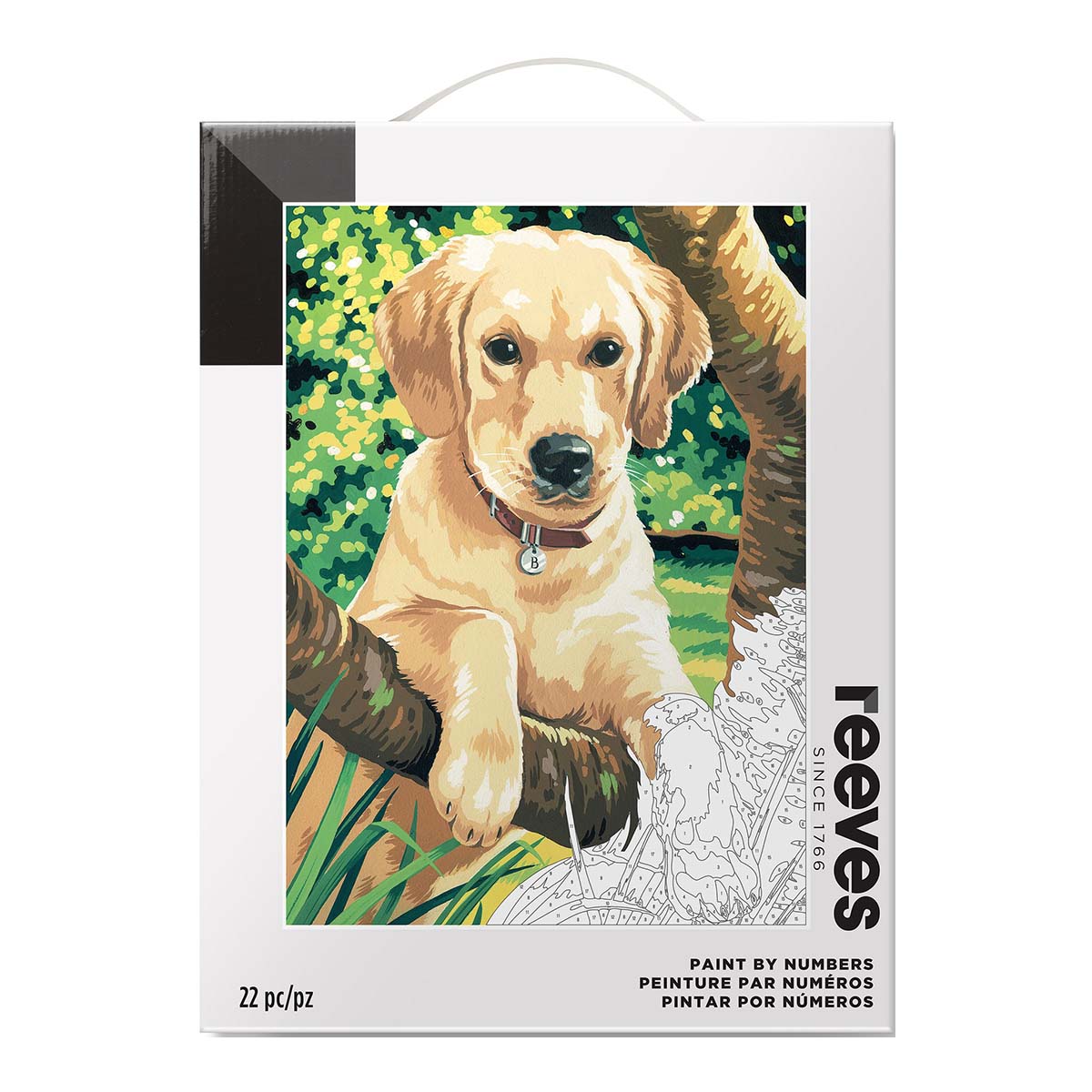 Imagem 0 de Pintar por Números Reeves Cachorro Labrador