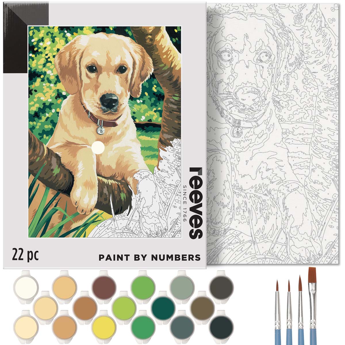 Pintar por números Reeves Perro Labrador 2