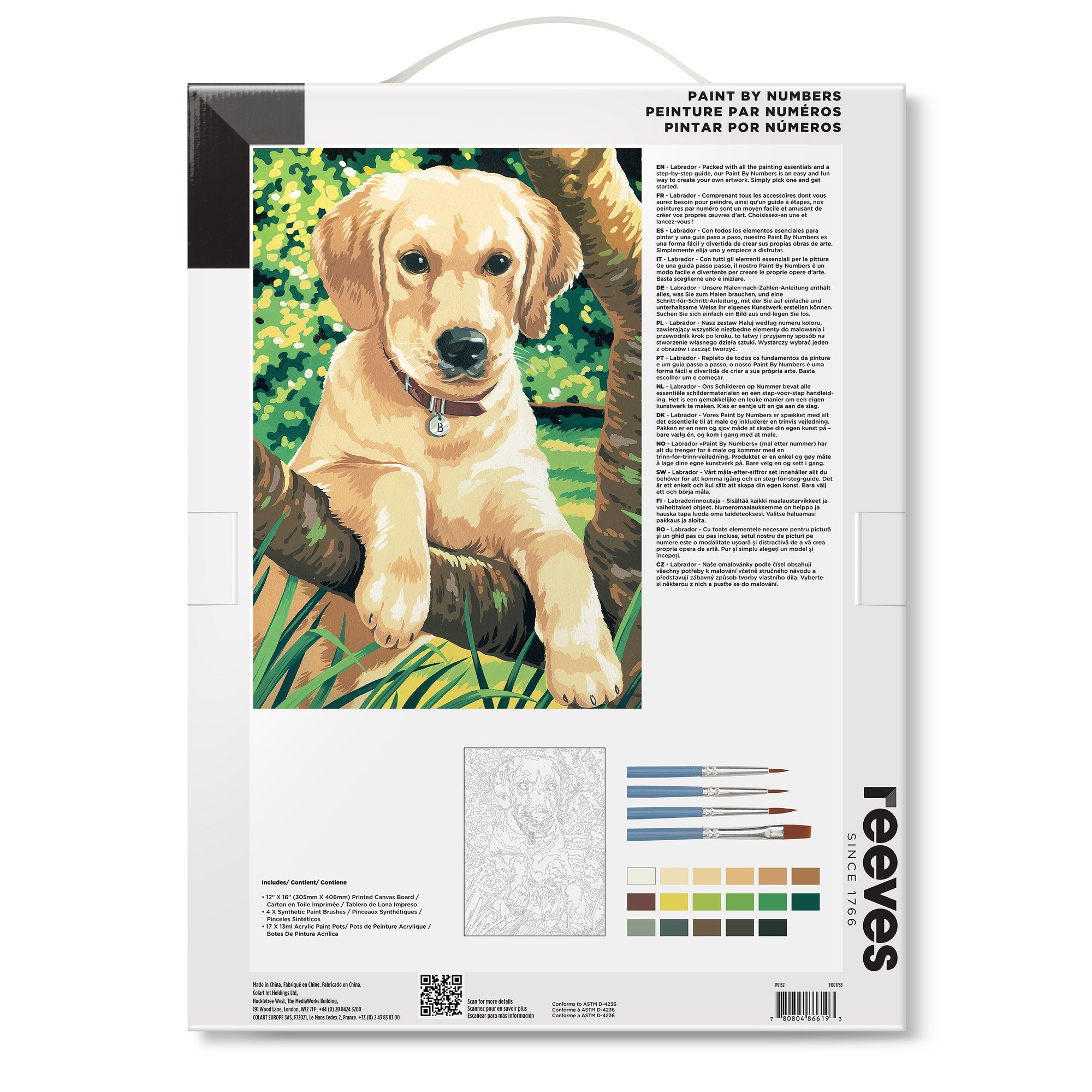 Pintar por números Reeves Perro Labrador 3
