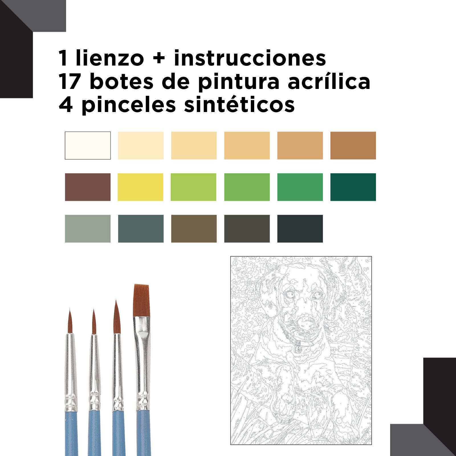 Pintar por números Reeves Perro Labrador 4