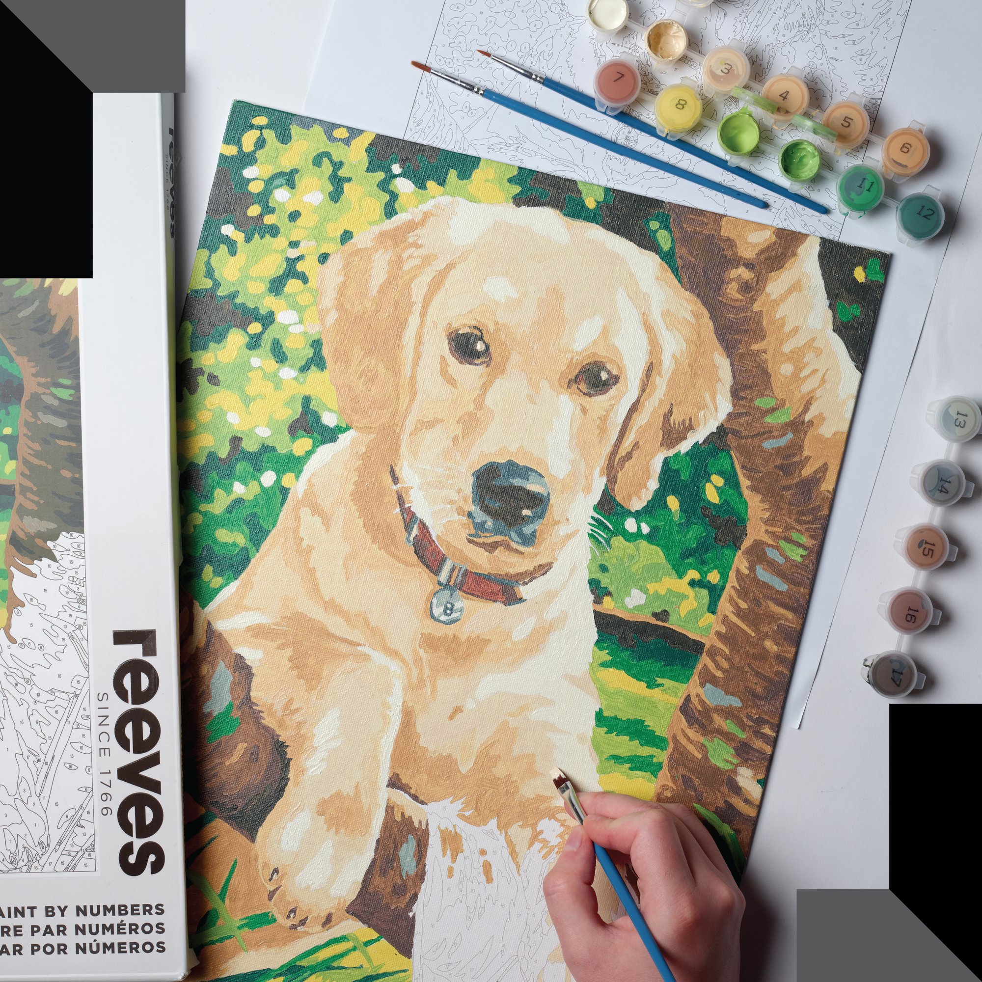 Pintar por números Reeves Perro Labrador 5