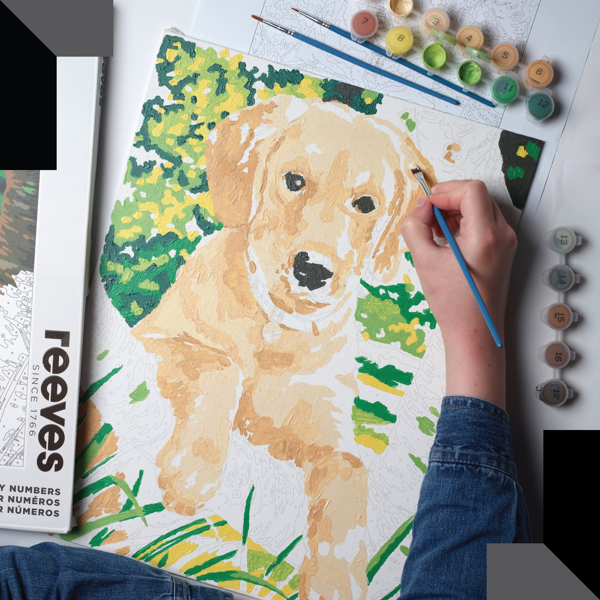Pintar por números Reeves Perro Labrador 6