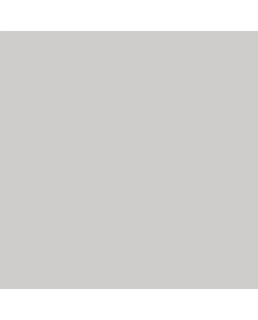 Marcador BrushMarker com Ponta de Pincel Winsor & Newton Cool Grey 3 (Cg3) 4