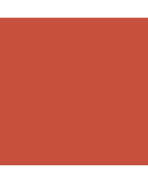 Marcador BrushMarker com Ponta de Pincel Winsor & Newton Burnt Orange (R946) 4