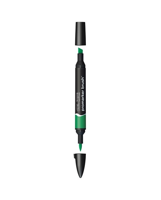 Marcador BrushMarker com Ponta de Pincel Winsor & Newton Lush Green (G756) 1