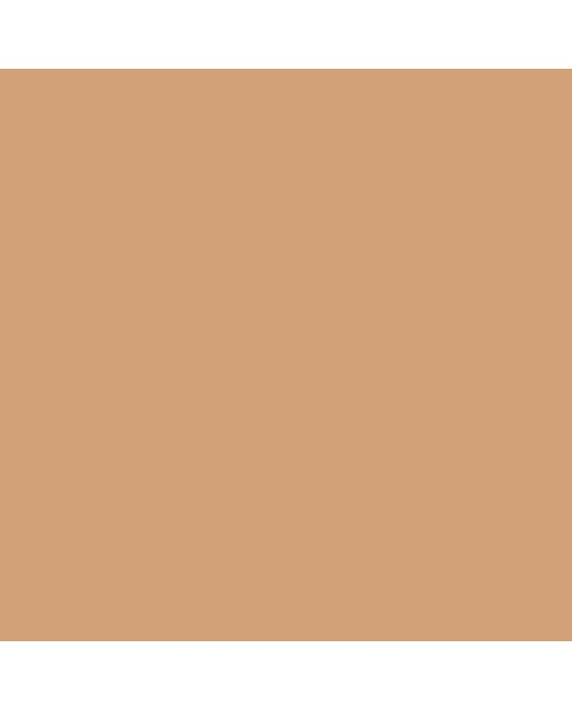 Marcador BrushMarker com Ponta de Pincel Winsor & Newton Cinnamon (O427) 4