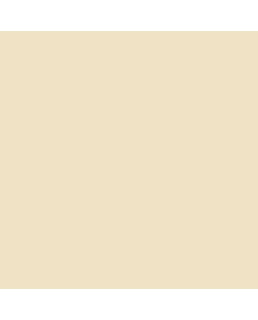 Marcador BrushMarker com Ponta de Pincel Winsor & Newton Champagne (Y217) 4