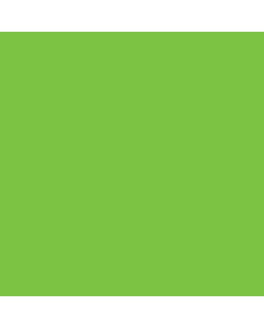 Marcador BrushMarker com Ponta de Pincel Winsor & Newton Lime Bright Green (G267) 4