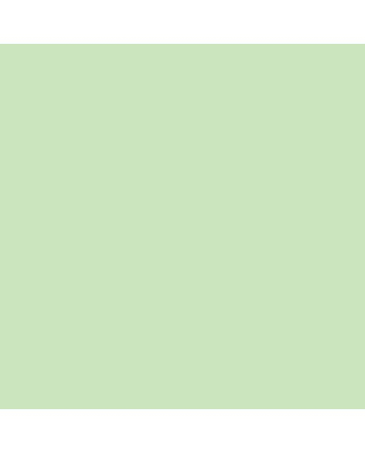 Marcador BrushMarker com Ponta de Pincel Winsor & Newton Lime Meadow (G339) 4