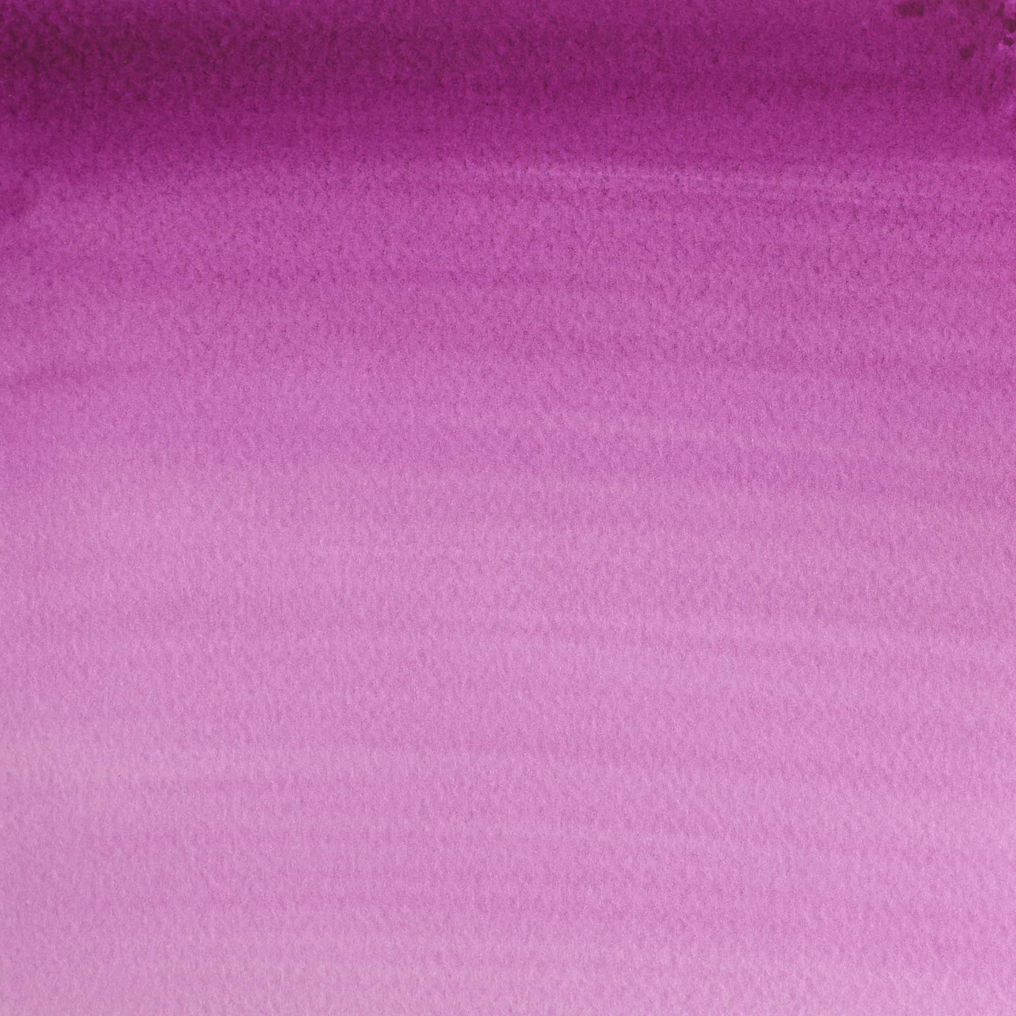Aguarela Cotman Tubo 21 ml Malve Winsor & Newton 2