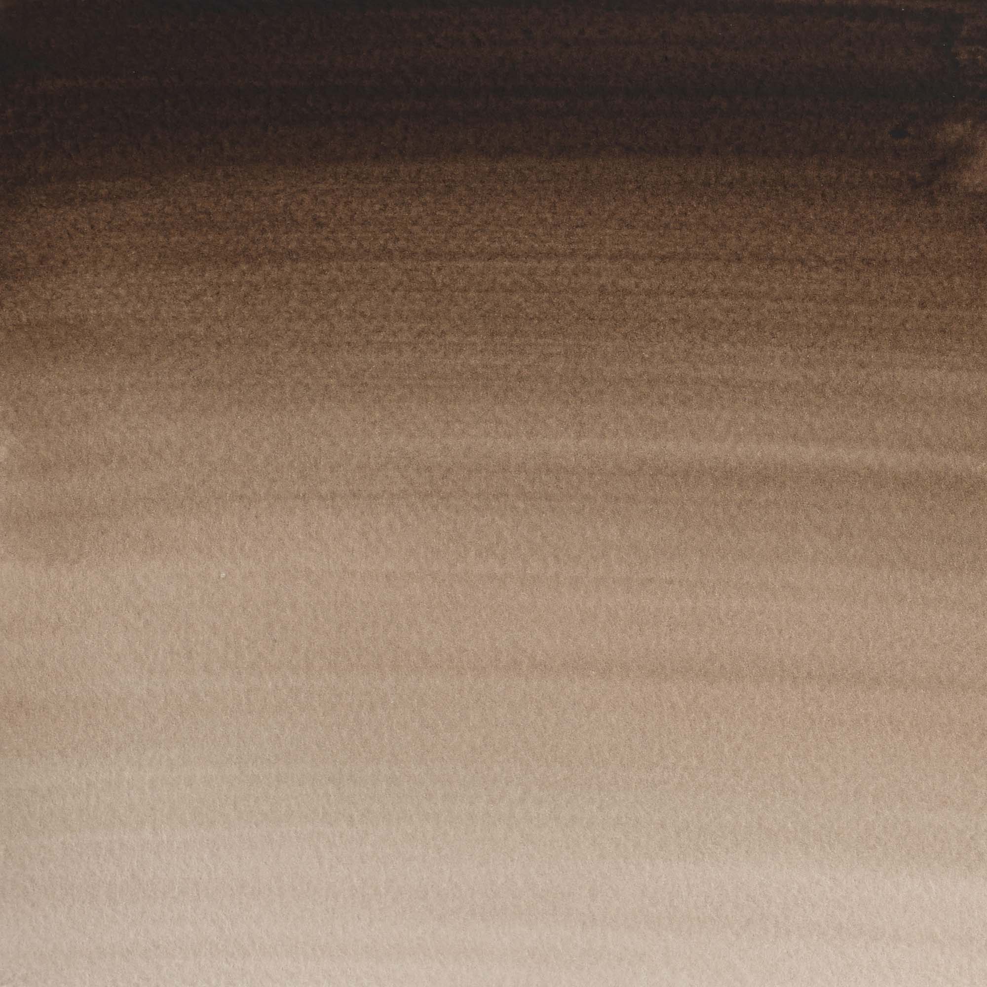Aguarela Cotman Tubo 21 ml Sepia Winsor & Newton 2