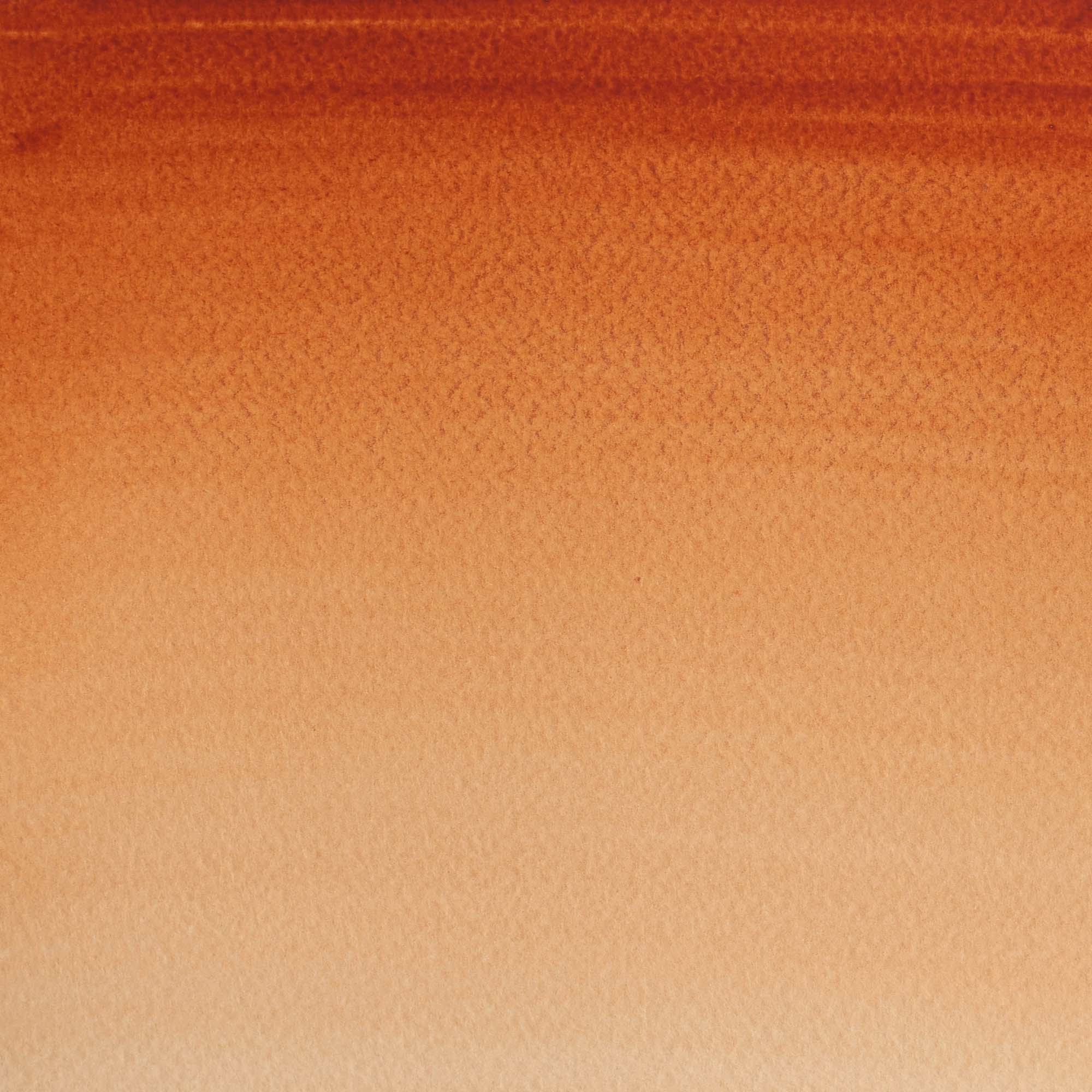 Aguarela Cotman Tubo 21 ml Siena Winsor & Newton 2
