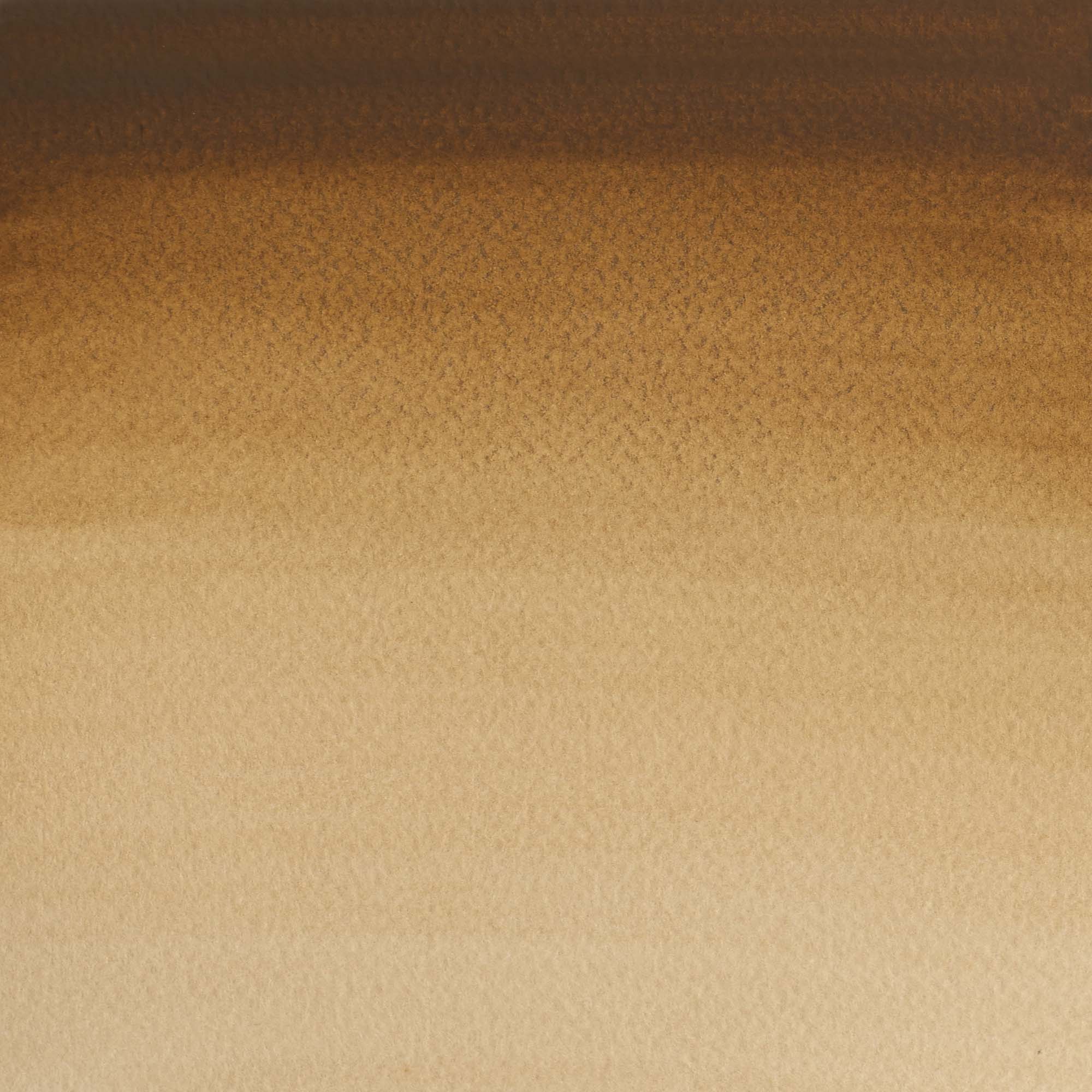 Aguarela Cotman Tubo 21 ml Terra de Sombra Natural Winsor & Newton 2