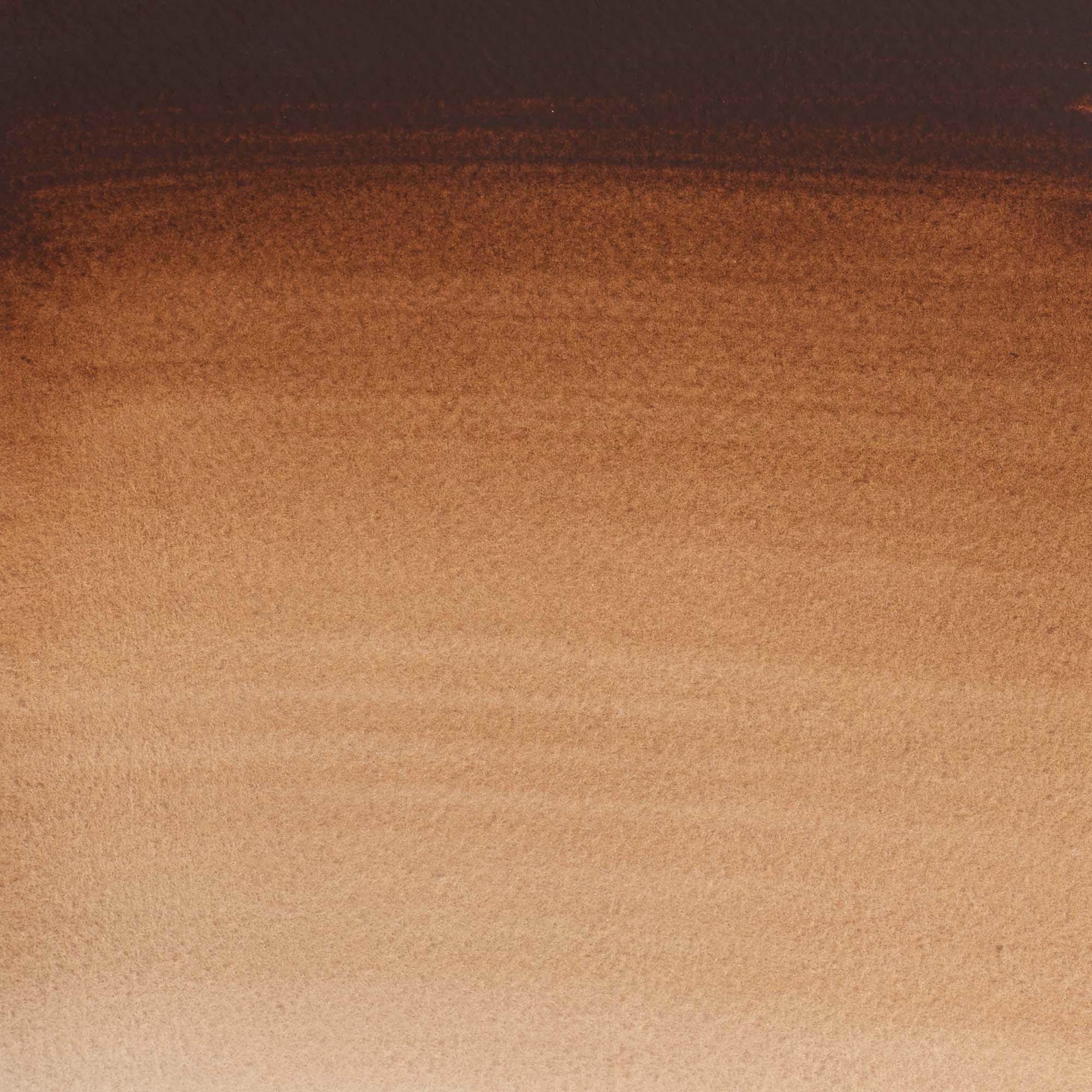 Aguarela Cotman Tubo 21 ml Terra de Sombra Tostada Winsor & Newton 2