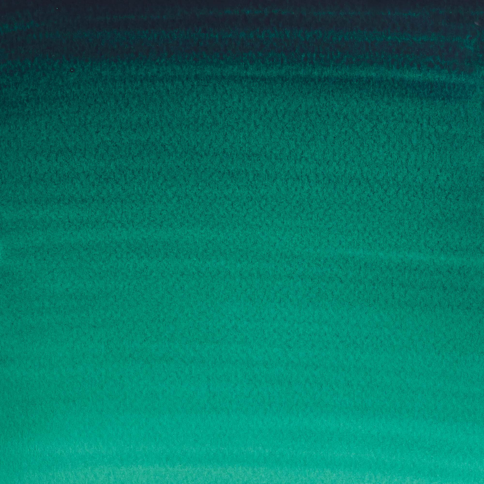 Aguarela Cotman Tubo 21 ml Viridiano Winsor & Newton 2