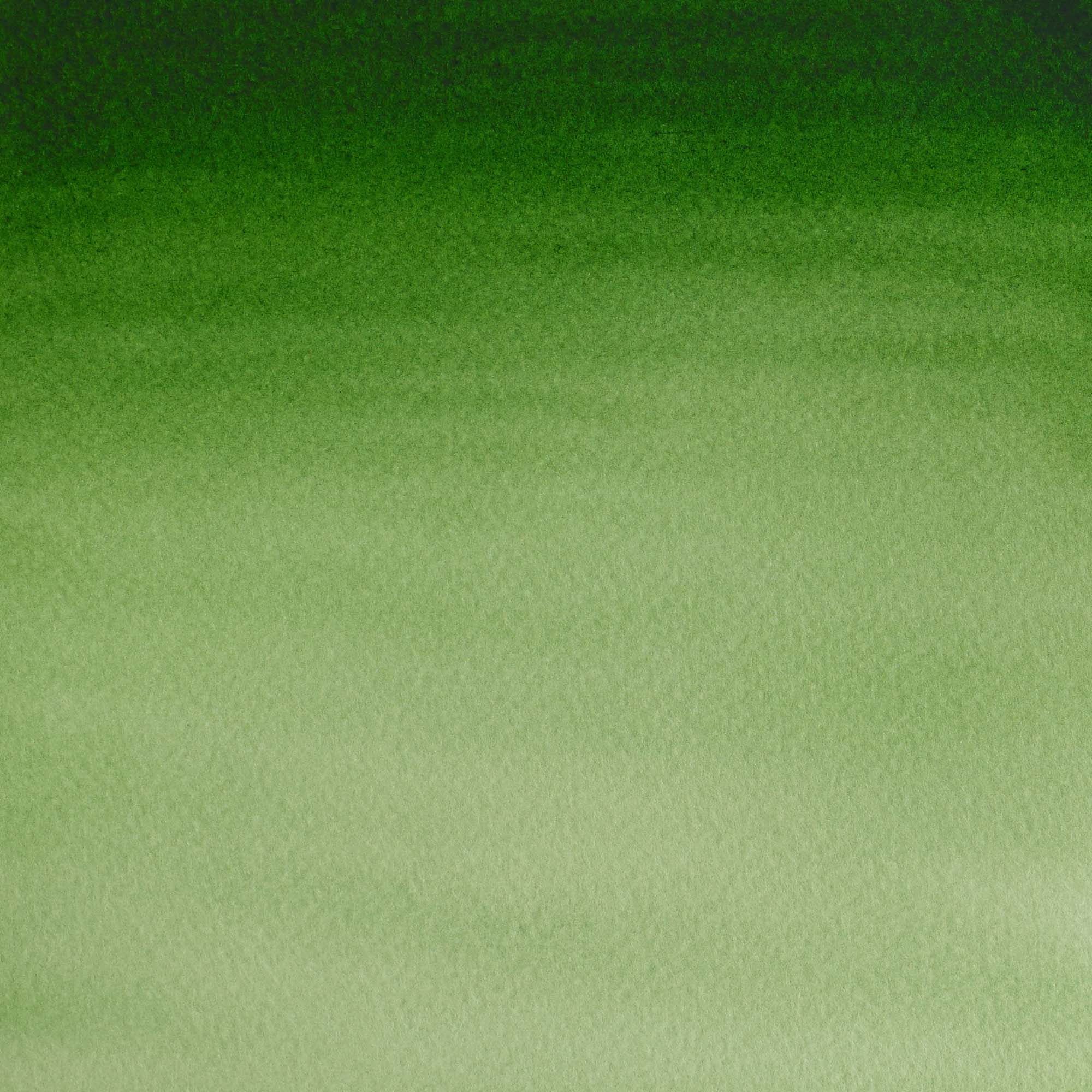 Aguarela Cotman Tubo 21 ml Verde Hooker Claro Winsor & Newton 2