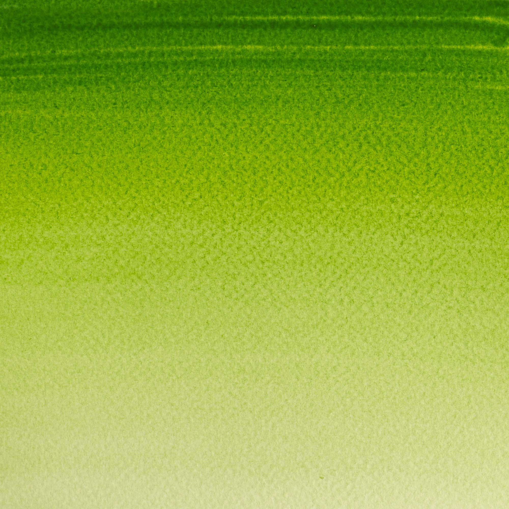 Aguarela Cotman Tubo 21 ml Verde Winsor & Newton 2